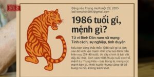 1986 Tuổi Gì, Mệnh Gì