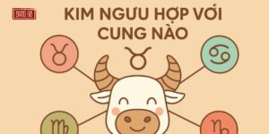 Kim Ngưu Hợp Với Cung Nào