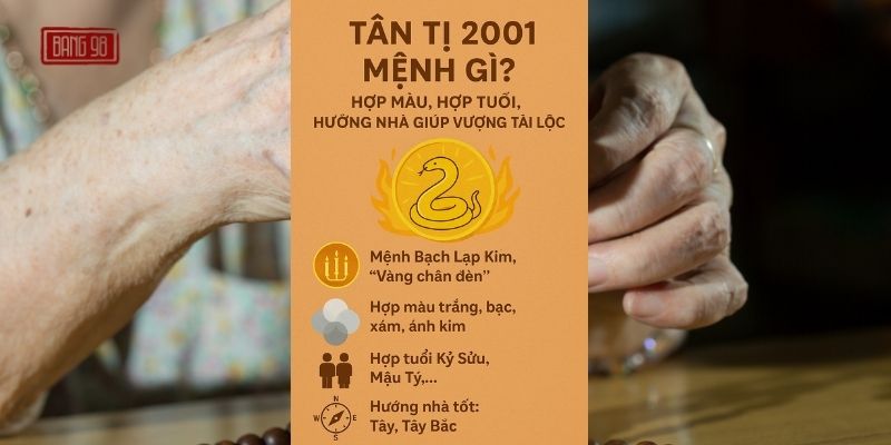 Tân Tỵ 2001 Mệnh Gì